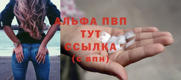 прущие грибы Киренск