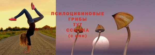 прущие грибы Киренск