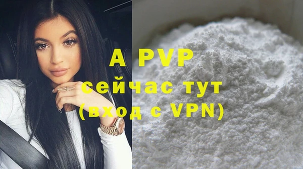 прущие грибы Киренск