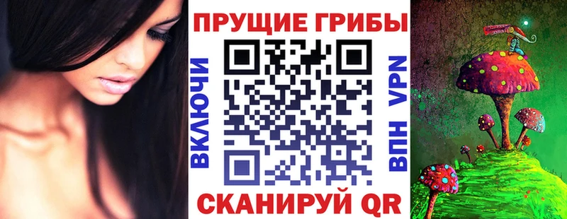 Галлюциногенные грибы Magic Shrooms Купить где Купино